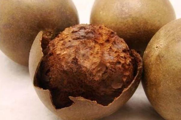 羅漢果的藥用功效 羅漢果的最佳配伍 羅漢果的藥用功效 羅漢果的最佳配伍