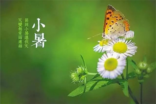 小暑有雨有什么說法 小暑有什么活動 小暑有雨有什么說法 小暑有什么活動