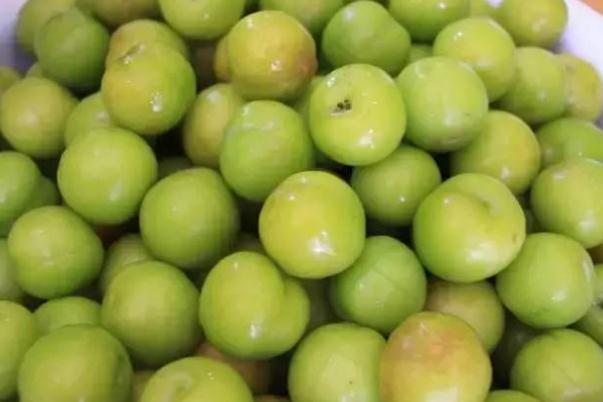 吃李子血糖會升高嗎 血糖高能吃李子嗎 吃李子血糖會升高嗎 血糖高能吃李子嗎