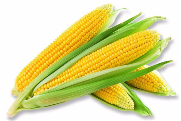 玉米煮多久會(huì)熟 玉米煮的好吃還是蒸的