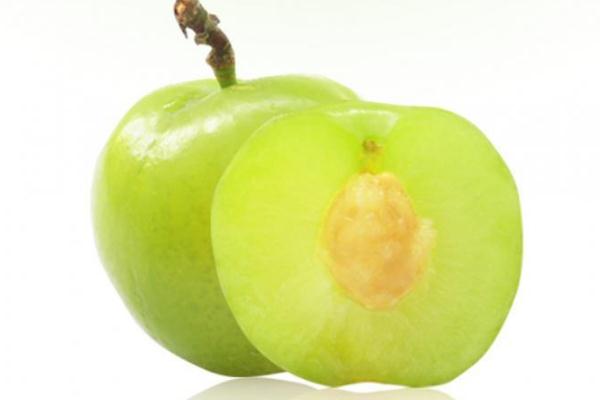 李子孕婦能吃嗎懷孕 李子孕婦能不能多吃 李子孕婦能吃嗎懷孕 李子孕婦能不能多吃