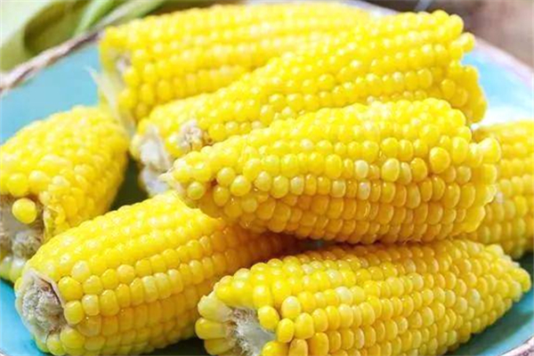 玉米吃甜的好還是糯的好 玉米怎么分辨老嫩 玉米吃甜的好還是糯的好 玉米怎么分辨老嫩