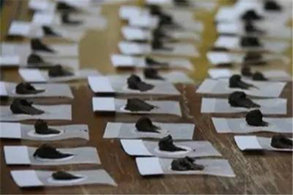 三伏貼可以治好鼻炎嗎 三伏貼治過敏鼻炎貼哪里 三伏貼可以治好鼻炎嗎 三伏貼治過敏鼻炎貼哪里