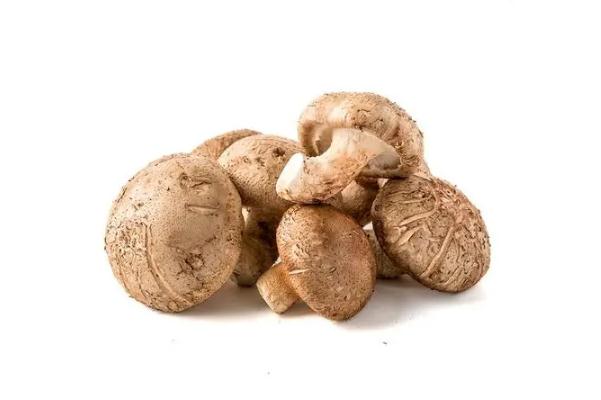 香菇可以隔夜吃嗎 香菇可以泡一夜嗎 香菇可以隔夜吃嗎 香菇可以泡一夜嗎