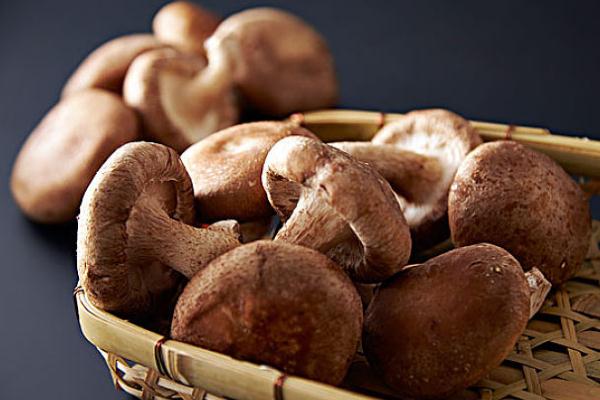香菇有毒性嗎 新鮮香菇不過水有毒嗎 香菇有毒性嗎 新鮮香菇不過水有毒嗎