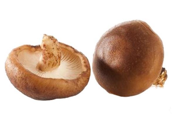 香菇會(huì)過(guò)敏嗎 香菇過(guò)敏怎么辦 香菇會(huì)過(guò)敏嗎 香菇過(guò)敏怎么辦