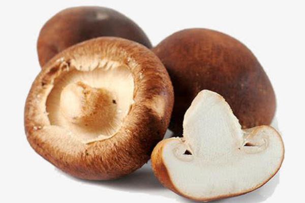 吃香菇胃疼是什么原因 吃香菇胃疼怎么緩解 吃香菇胃疼是什么原因 吃香菇胃疼怎么緩解