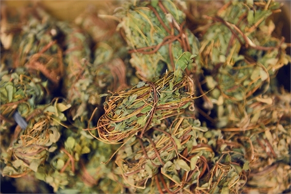 雞骨草可以和胡蘿卜一起煲湯嗎 雞骨草湯的食用禁忌有哪些 雞骨草可以和胡蘿卜一起煲湯嗎 雞骨草湯的食用禁忌有哪些