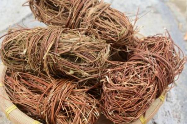 雞骨草不能和什么同吃 雞骨草和什么相克的 雞骨草不能和什么同吃 雞骨草和什么相克的