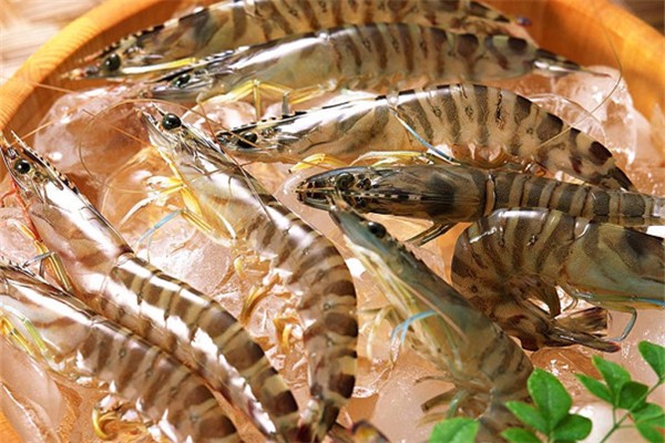 基圍蝦肉質(zhì)不緊實是不新鮮嗎 基圍蝦肉質(zhì)松散是什么原因