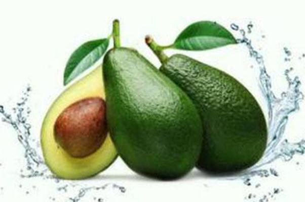 牛油果可以天天吃嗎 牛油果可以加熱嗎 牛油果可以天天吃嗎 牛油果可以加熱嗎