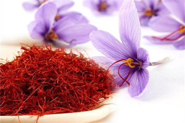 藏紅花的功效和作用 藏紅花泡水喝的正確方法 藏紅花的功效和作用 藏紅花泡水喝的正確方法