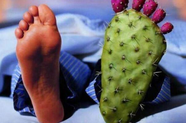 痛風(fēng)的人不能吃什么 痛風(fēng)的人吃什么最好 痛風(fēng)的人不能吃什么 痛風(fēng)的人吃什么最好