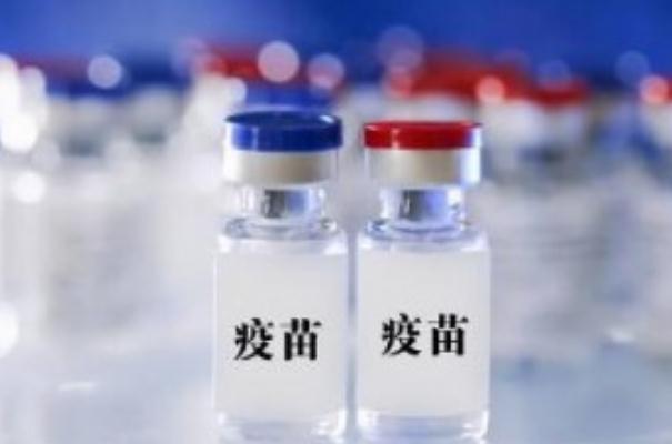 第二針新冠疫苗打完多久產(chǎn)生抗體 第二針新冠疫苗打完有什么反應 第二針新冠疫苗打完多久產(chǎn)生抗體 第二針新冠疫苗打完有什么反應