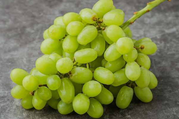 吃青提有什么好處 吃青提會發(fā)胖嗎 吃青提有什么好處 吃青提會發(fā)胖嗎