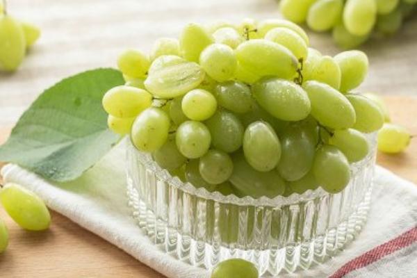 青提的營養(yǎng)價(jià)值 青提的皮可以吃嗎 青提的營養(yǎng)價(jià)值 青提的皮可以吃嗎