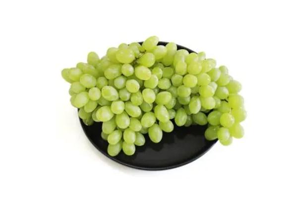 青提可以帶皮吃嗎 吃提子皮有什么好處 青提可以帶皮吃嗎 吃提子皮有什么好處