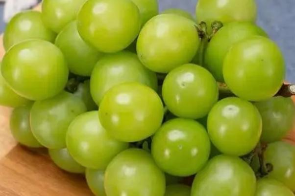 青提可以放幾天 青提可以放冰箱冷藏嗎 青提可以放幾天 青提可以放冰箱冷藏嗎