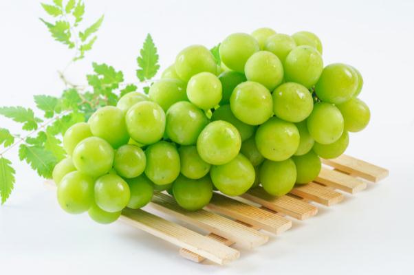 青提的營養(yǎng)價(jià)值 青提的皮可以吃嗎 青提的營養(yǎng)價(jià)值 青提的皮可以吃嗎