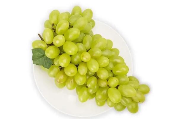 青提可以放幾天 青提可以放冰箱冷藏嗎 青提可以放幾天 青提可以放冰箱冷藏嗎