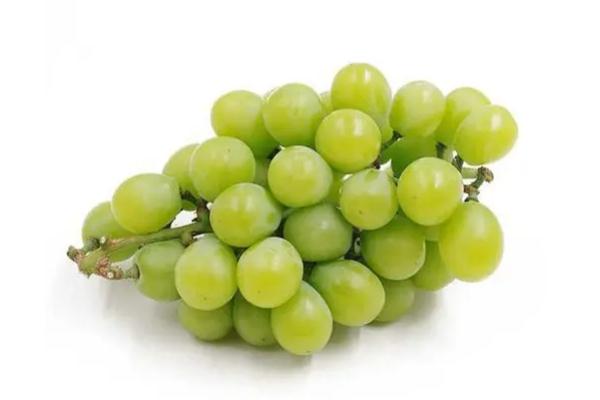 吃青提會不會長胖 吃青提對身體有害嗎 吃青提會不會長胖 吃青提對身體有害嗎