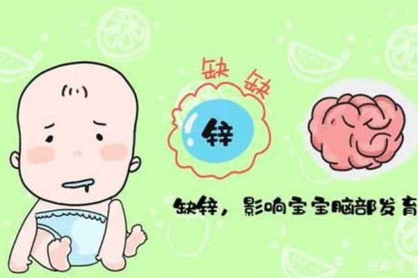 寶寶缺鋅要吃什么 寶寶缺鋅要不要吃乳鐵蛋白 寶寶缺鋅要吃什么 寶寶缺鋅要不要吃乳鐵蛋白