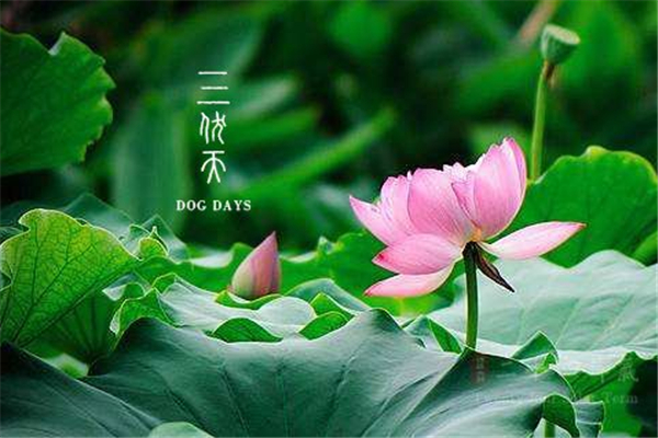 三伏天從什么時(shí)候開(kāi)始 三伏天持續(xù)多久