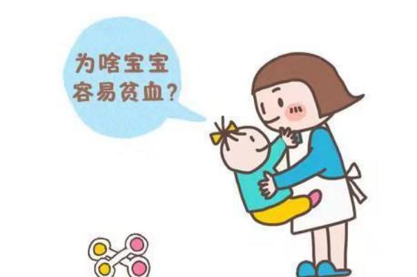 嬰兒缺鐵會有什么影響 嬰兒缺鐵會出現(xiàn)什么癥狀 嬰兒缺鐵會有什么影響 嬰兒缺鐵會出現(xiàn)什么癥狀