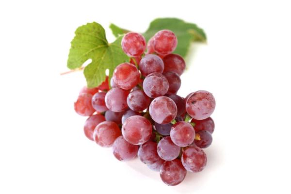 紅提的皮可以吃嗎 提子皮的營養(yǎng)價(jià)值 紅提的皮可以吃嗎 提子皮的營養(yǎng)價(jià)值