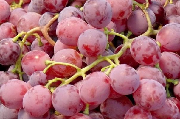 紅提的皮可以吃嗎 提子皮的營養(yǎng)價(jià)值 紅提的皮可以吃嗎 提子皮的營養(yǎng)價(jià)值