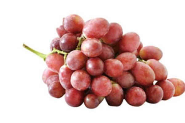 紅提籽能吃么 紅提籽功效與作用 紅提籽能吃么 紅提籽功效與作用
