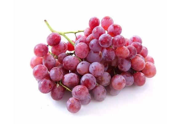 紅提的皮可以吃嗎 提子皮的營養(yǎng)價(jià)值 紅提的皮可以吃嗎 提子皮的營養(yǎng)價(jià)值