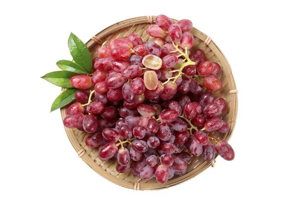 紅提籽能吃么 紅提籽功效與作用 紅提籽能吃么 紅提籽功效與作用