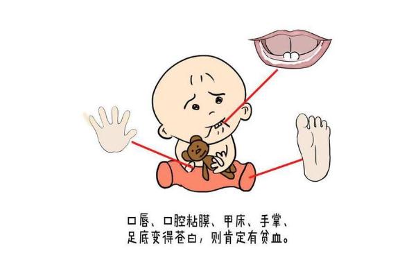 寶寶貧血對身體有什么影響 寶寶貧血對智力有影響嗎 寶寶貧血對身體有什么影響 寶寶貧血對智力有影響嗎