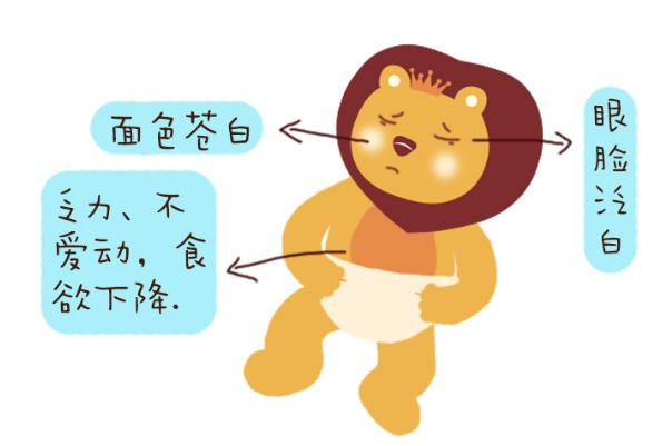 寶寶貧血有幾種類型 寶寶貧血會引起發(fā)燒嗎 寶寶貧血有幾種類型 寶寶貧血會引起發(fā)燒嗎