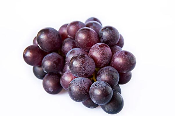 巨峰葡萄會不會上火 吃巨峰葡萄的好處 巨峰葡萄會不會上火 吃巨峰葡萄的好處