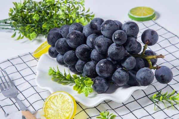 巨峰葡萄的功效與作用 巨峰葡萄為什么叫巨峰 巨峰葡萄的功效與作用 巨峰葡萄為什么叫巨峰