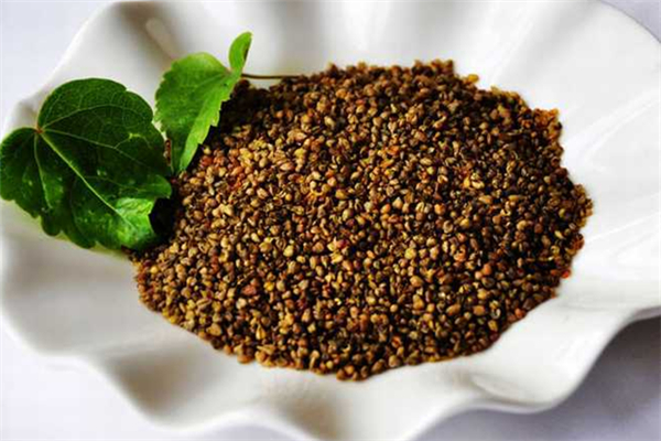 苦蕎可以直接嚼服嗎 苦蕎直接吃有什么好處 苦蕎可以直接嚼服嗎 苦蕎直接吃有什么好處