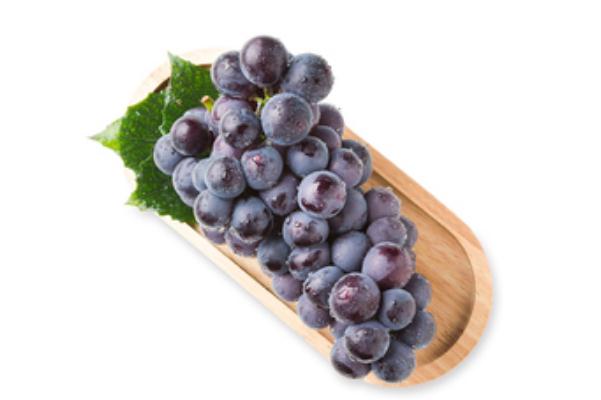 巨峰葡萄的熱量高嗎 巨峰葡萄的含糖量是多少 巨峰葡萄的熱量高嗎 巨峰葡萄的含糖量是多少