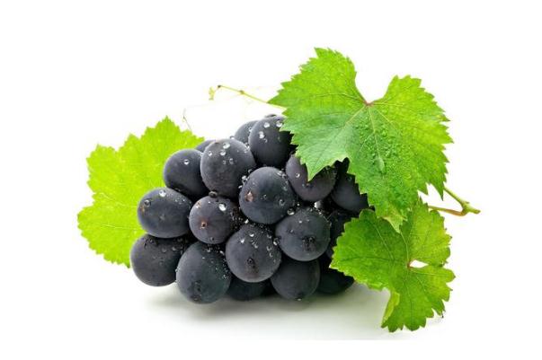 巨峰葡萄的功效與作用 巨峰葡萄為什么叫巨峰 巨峰葡萄的功效與作用 巨峰葡萄為什么叫巨峰