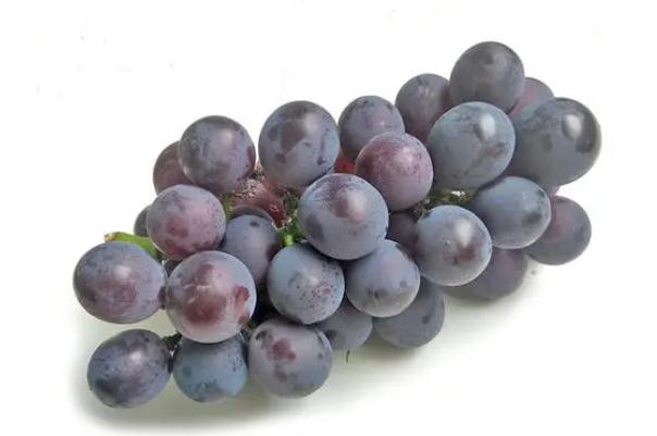 巨峰葡萄孕婦血糖有點(diǎn)高可以吃嗎 孕婦吃葡萄的注意事項(xiàng) 巨峰葡萄孕婦血糖有點(diǎn)高可以吃嗎 孕婦吃葡萄的注意事項(xiàng)