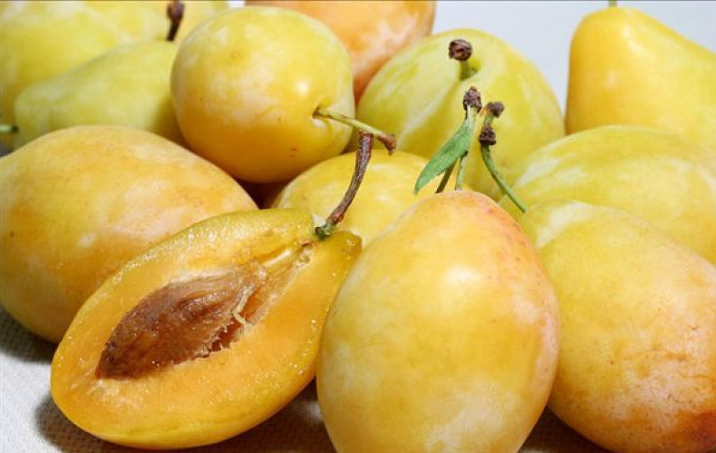 李子能多吃嗎對身體好嗎 李子能空腹吃嗎 李子能多吃嗎對身體好嗎 李子能空腹吃嗎