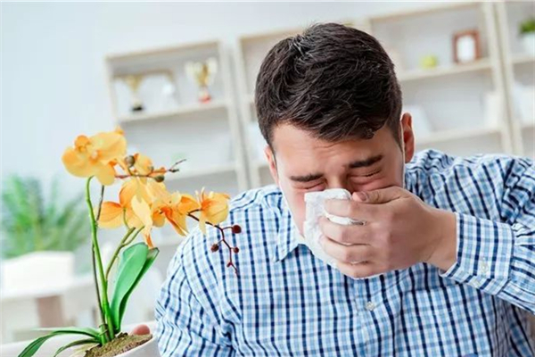 過敏性鼻炎會發(fā)展成哮喘嗎 過敏性鼻炎會引發(fā)什么疾病 過敏性鼻炎會發(fā)展成哮喘嗎 過敏性鼻炎會引發(fā)什么疾病