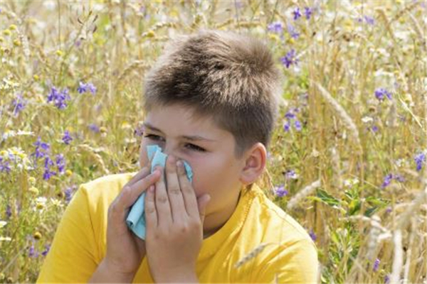 過敏性鼻炎對身體有什么危害 過敏性鼻炎有哪些東西不能吃 過敏性鼻炎對身體有什么危害 過敏性鼻炎有哪些東西不能吃