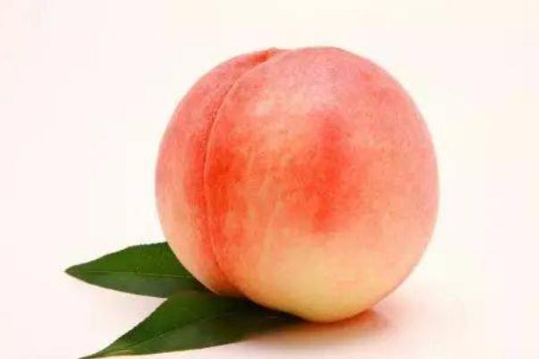 桃子的功效與作用營養(yǎng) 桃子是涼性的還是熱性的 桃子的功效與作用營養(yǎng) 桃子是涼性的還是熱性的