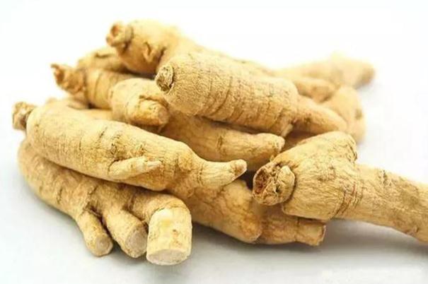 西洋參的功效與作用 西洋參的禁忌人群 西洋參的功效與作用 西洋參的禁忌人群