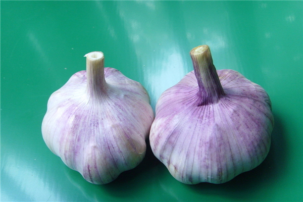 大蒜軟了可以吃嗎 大蒜怎么保存不發(fā)芽不干癟 大蒜軟了可以吃嗎 大蒜怎么保存不發(fā)芽不干癟