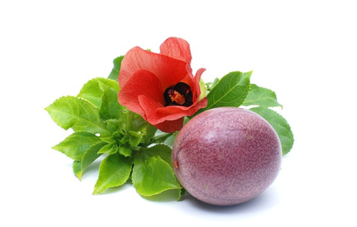 百香果可以泡酒嗎 百香果泡酒的正確方法比例 百香果可以泡酒嗎 百香果泡酒的正確方法比例