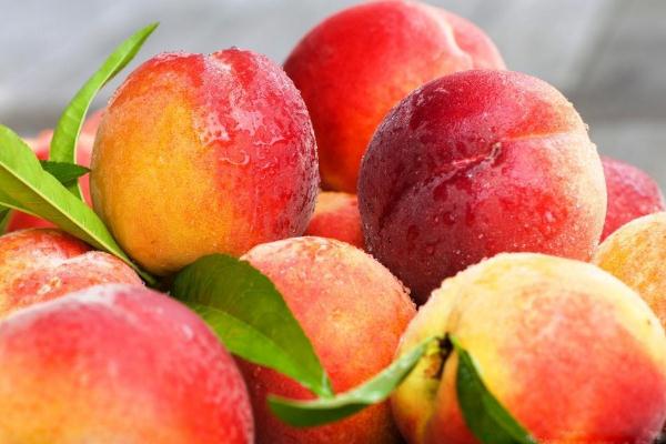 吃桃子會(huì)不會(huì)長(zhǎng)胖 吃桃子要不要?jiǎng)兤? alt=