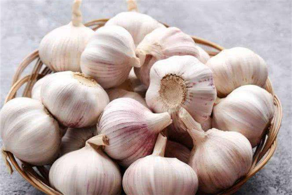 大蒜放肚臍眼有什么功效 大蒜的功效是什么 大蒜放肚臍眼有什么功效 大蒜的功效是什么